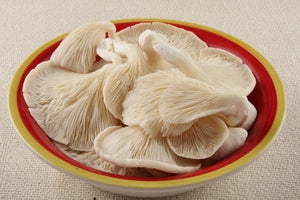 Baby Oyster Mushrooms 1kg