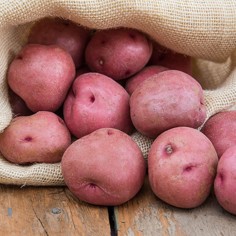 Red Desiree Potatoes 1kg
