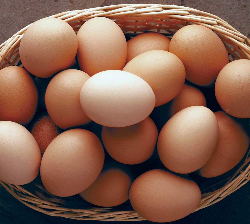 Eggs Free Range